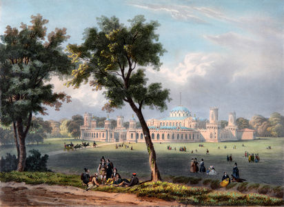 Вид Петровского дворца